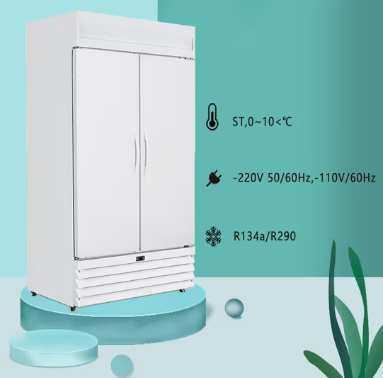 Pharmazeutischer Laborkühlschrank mit zwei Türen (2-8 °C)